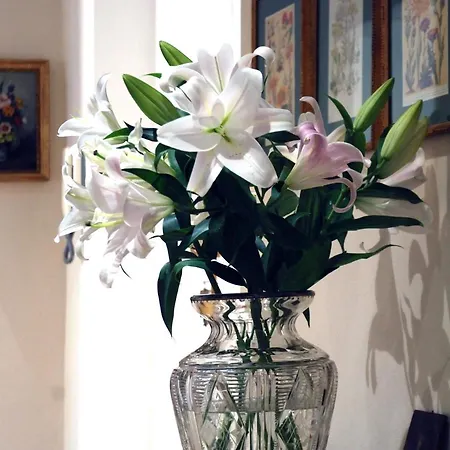 Flowers Bed & Breakfast *