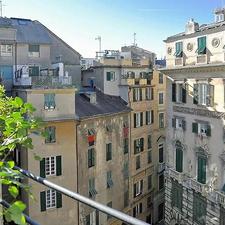 Bed & Breakfast Flowers