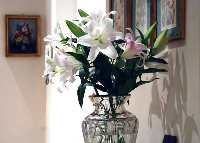 Flowers Bed & Breakfast 3*