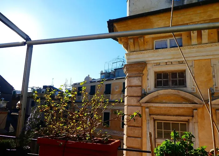 Flowers Bed & Breakfast Janov